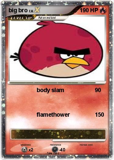 Pokemon big bro