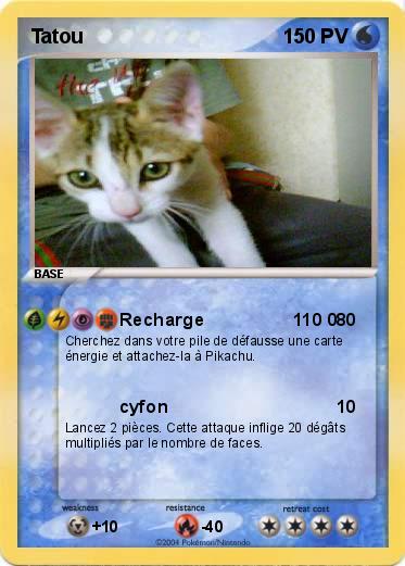Pokemon Tatou