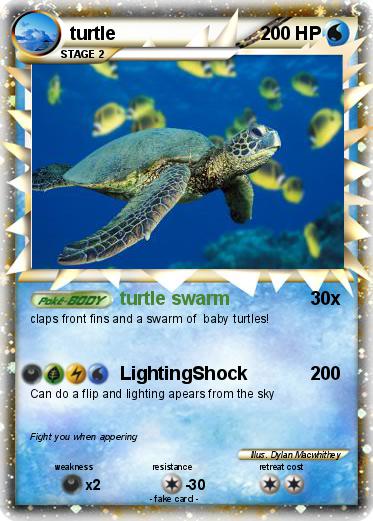 Pokemon turtle