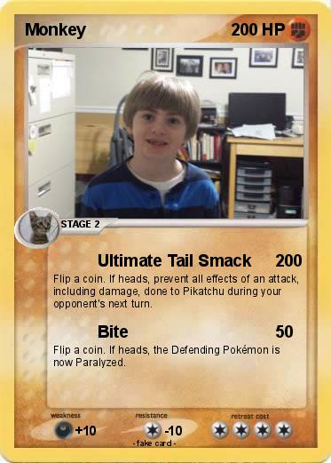 Pokemon Monkey