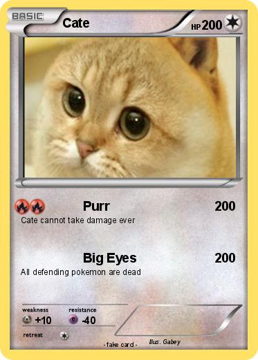 Pokemon Cate