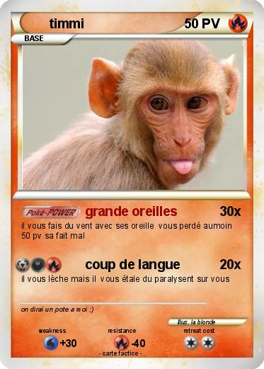 Pokemon timmi