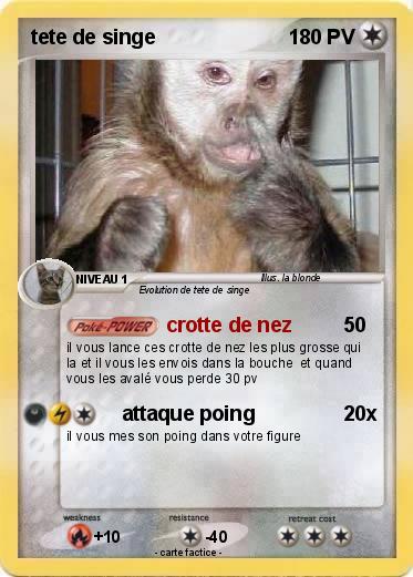 Pokemon tete de singe