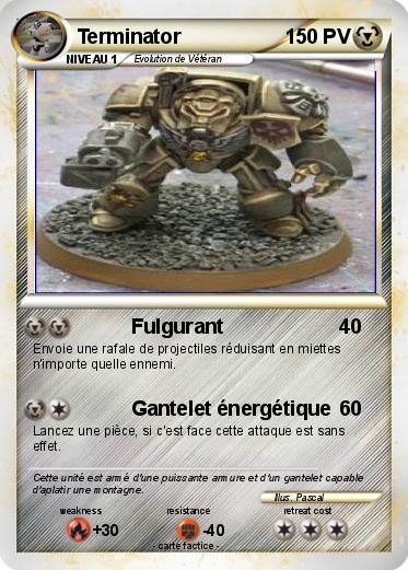 Pokemon Terminator