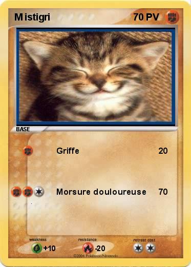 Pokemon M istigri