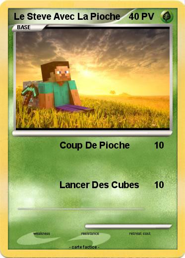 Pokemon Le Steve Avec La Pioche