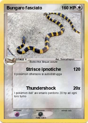 Pokemon Bungaro fasciato
