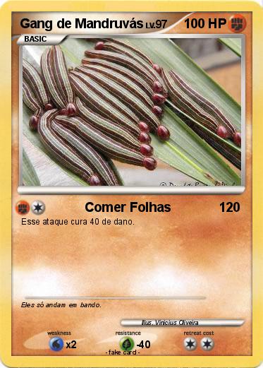 Pokemon Gang de Mandruvás