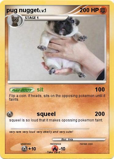 Pokemon pug nugget