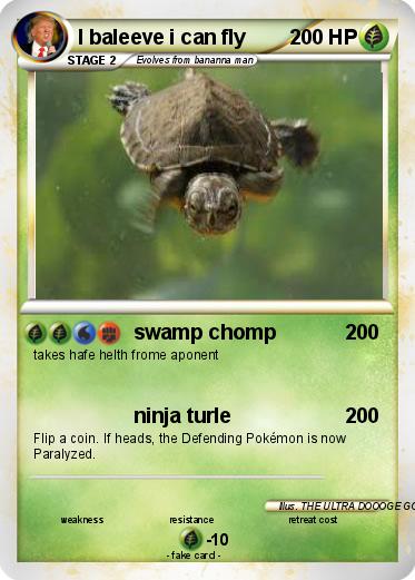 Pokemon I baleeve i can fly