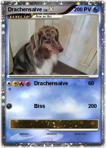 Pokemon Drachensalve