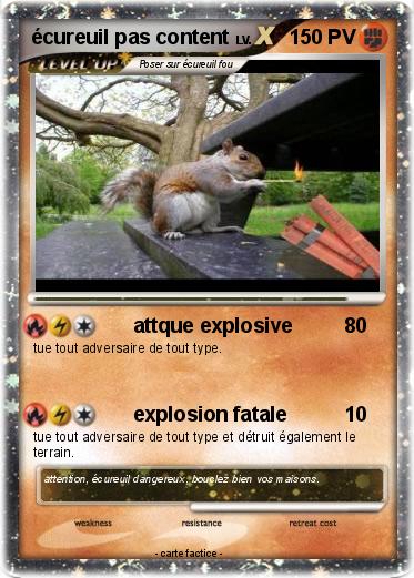 Pokemon écureuil pas content