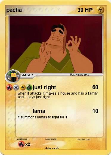 Pokemon pacha