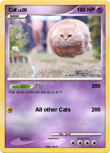 Pokemon Cat