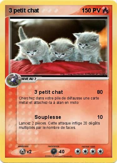 Pokemon 3 petit chat