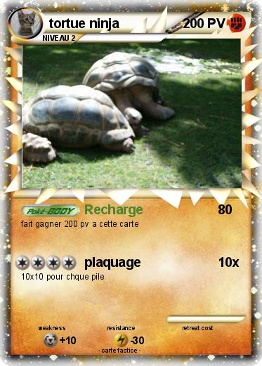 Pokemon tortue ninja