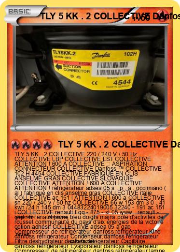 Pokemon TLY 5 KK . 2 COLLECTIVE Danfoss ™