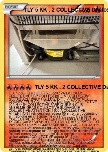 Pokemon TLY 5 KK . 2 COLLECTIVE Danfoss ™