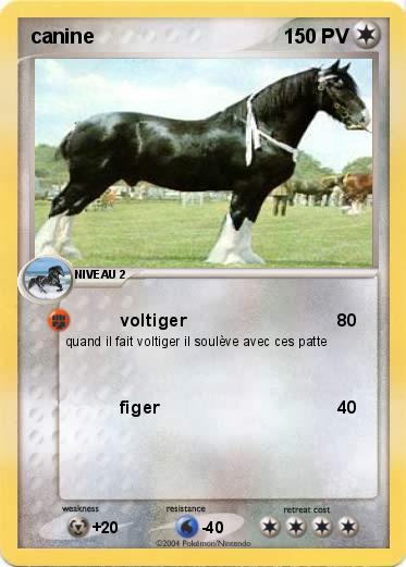 Pokemon canine