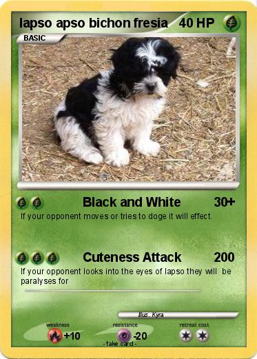 Pokemon lapso apso bichon fresia