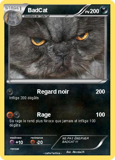 Pokemon BadCat