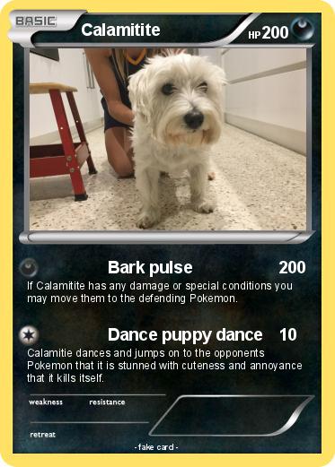 Pokemon Calamitite