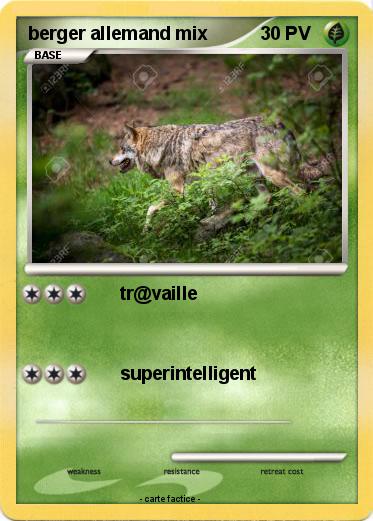 Pokemon berger allemand mix