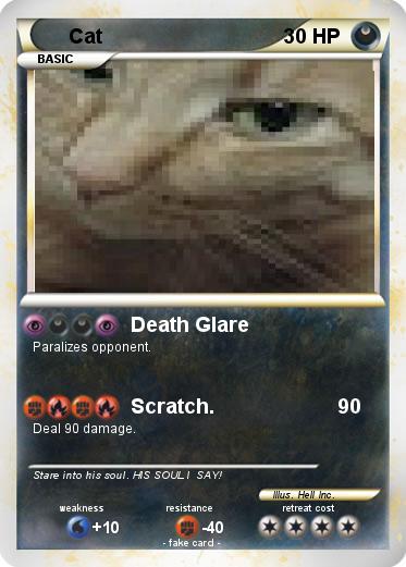 Pokemon Cat