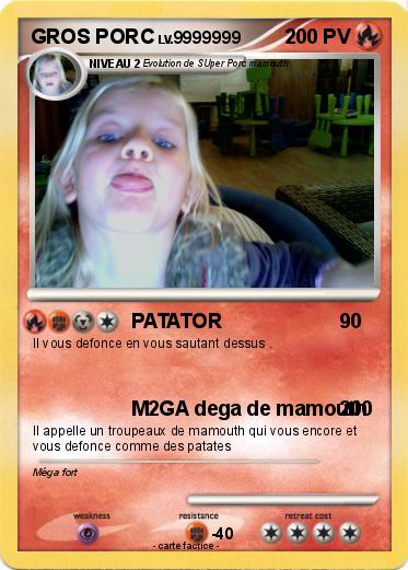 Pokemon GROS PORC