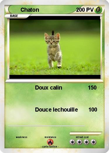 Pokemon Chaton