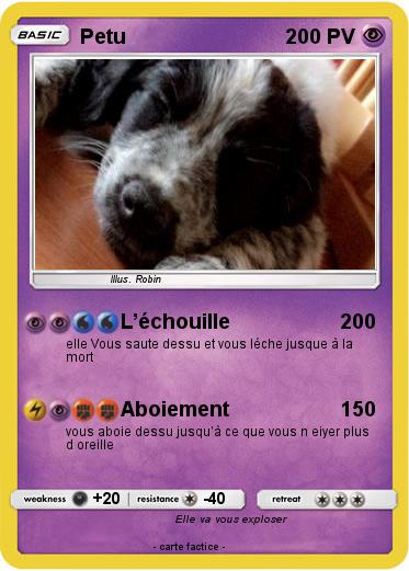 Pokemon Petu