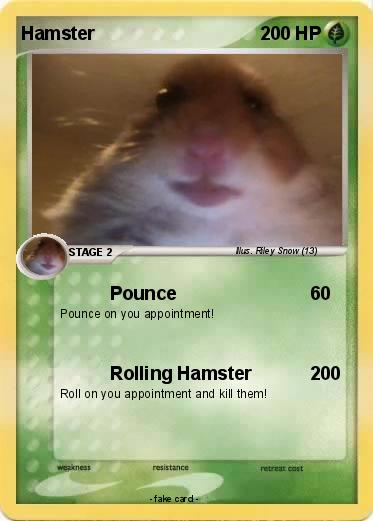 Pokemon Hamster