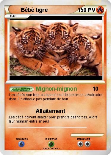 Pokemon Bébé tigre