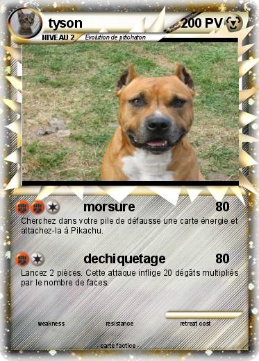 Pokemon tyson