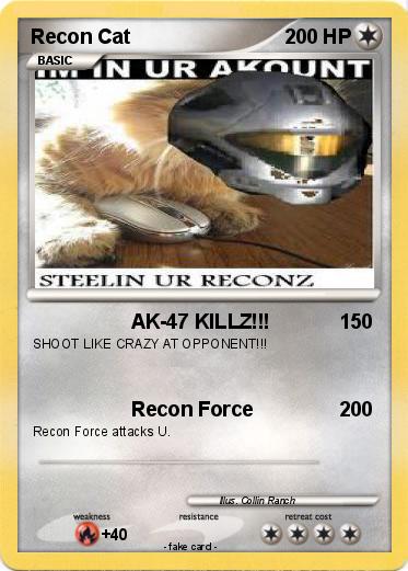 Pokemon Recon Cat