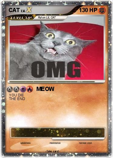 Pokemon CAT