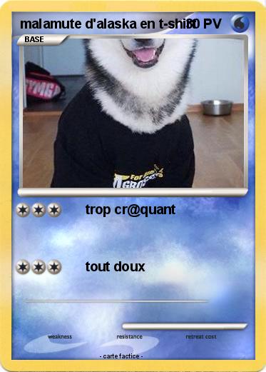 Pokemon malamute d'alaska en t-shirt
