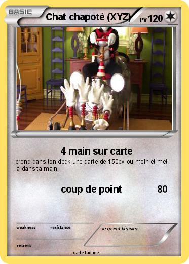 Pokemon Chat chapoté (XYZ)