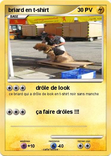 Pokemon briard en t-shirt