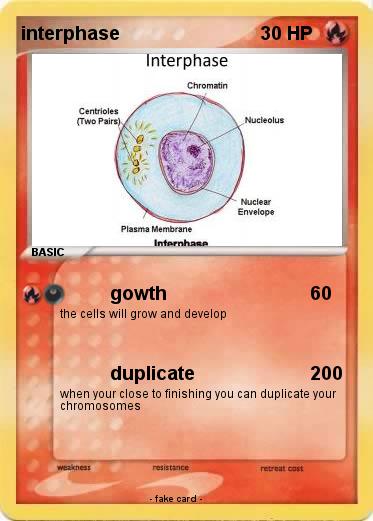 Pokemon interphase