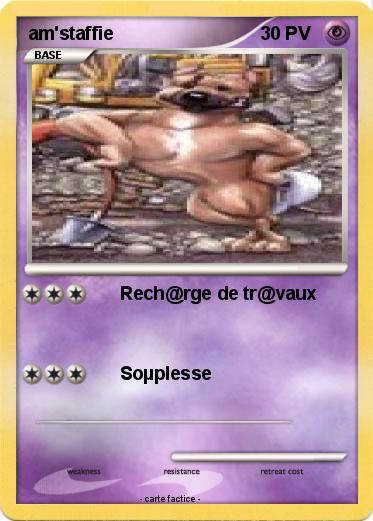 Pokemon am'staffie