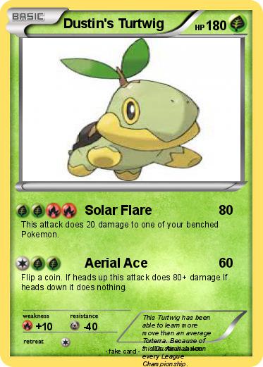 Pokemon Dustin's Turtwig