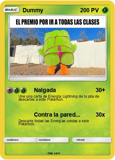 Pokemon Dummy