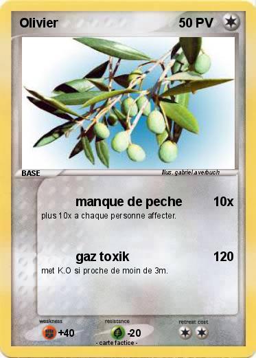 Pokemon Olivier