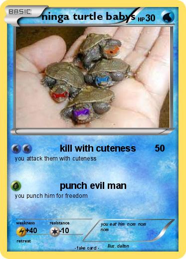 Pokemon ninga turtle babys
