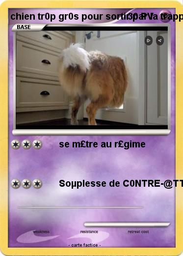 Pokemon chien tr0p gr0s pour sortir par la trappe