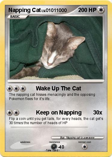 Pokemon Napping Cat