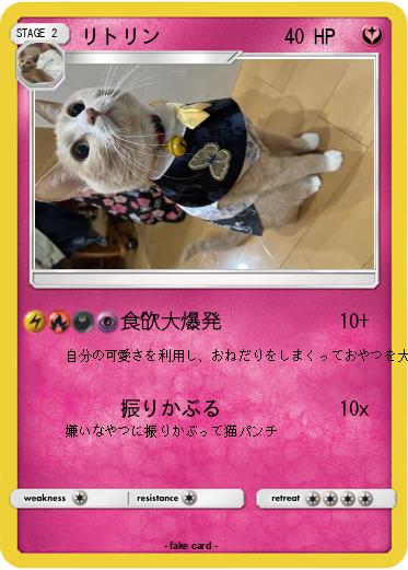Pokemon リトリン
