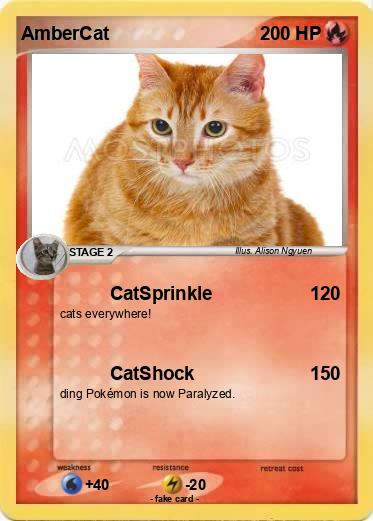 Pokemon AmberCat