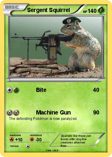 Pokemon Sergent Squirrel